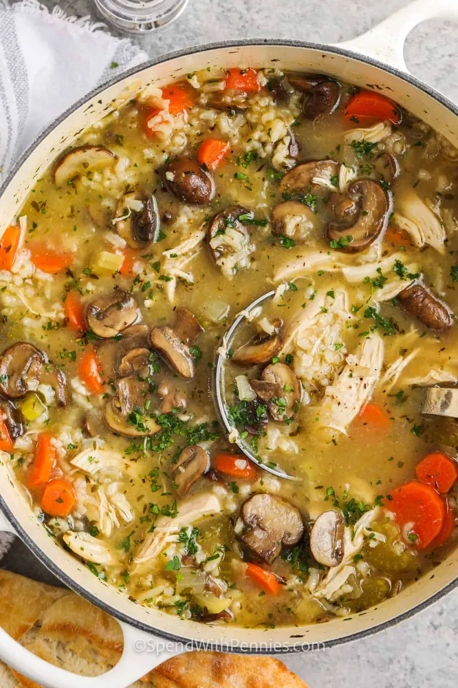 Chicken/Mushroom Vegetable Soup