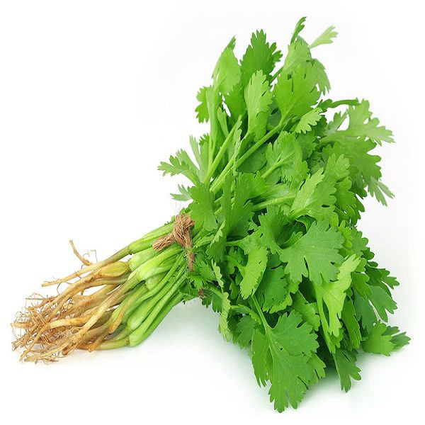 Coriander Cilantro Dhania Bunch Each