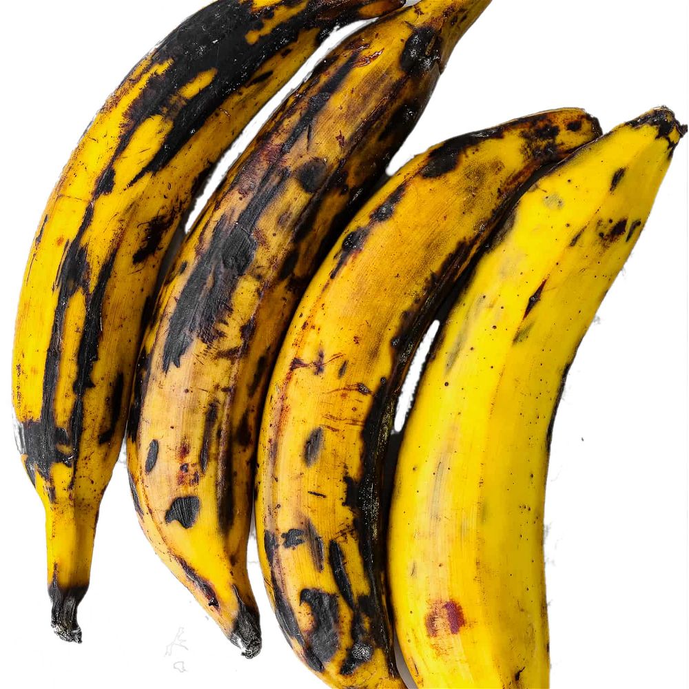 Plantain Yellow - Per Lb.