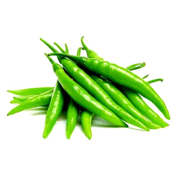 Green Chilli Farmi