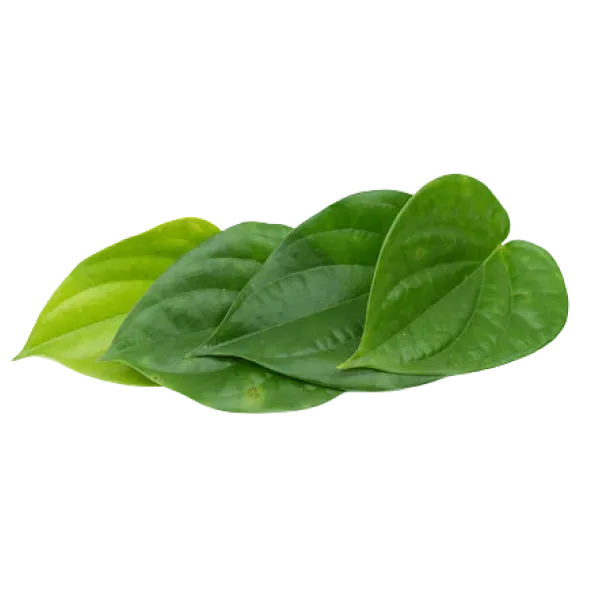 PAAN LEAVES (12PC)