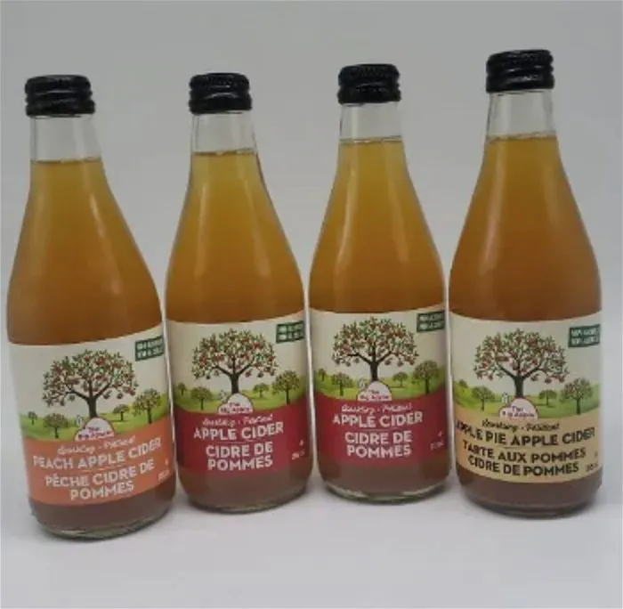 Sparkling Apple Cider 4 Pack