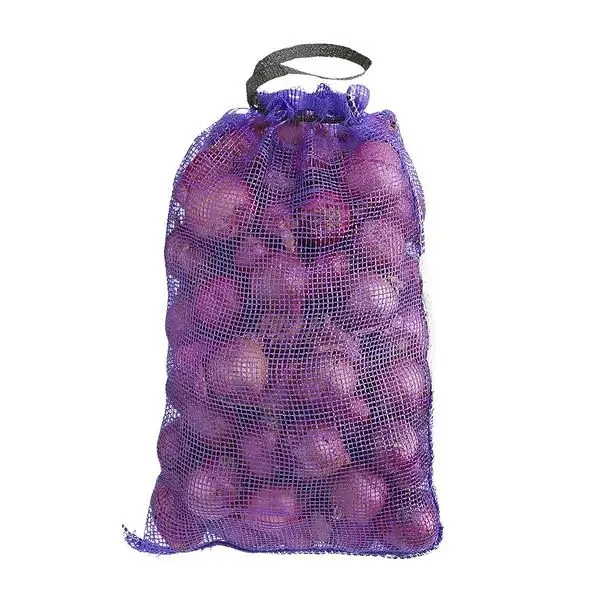 Red Onion 10lbs Bag (each)