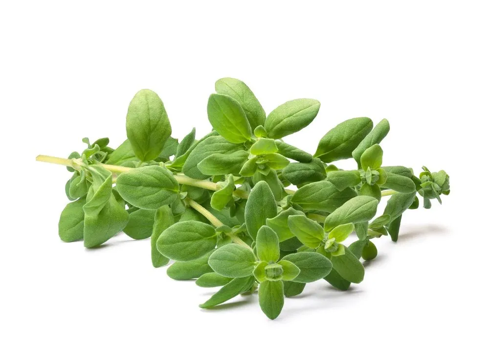 IHF Marjoram 100g