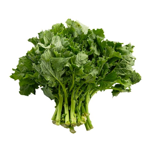 Rapini Bunch (Each)