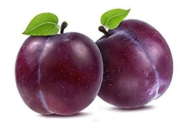 Plum (Per lb)