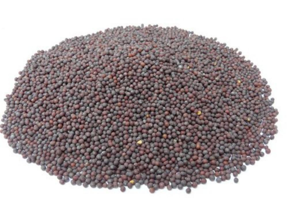 Mustard ( Rai ) Seed 200g