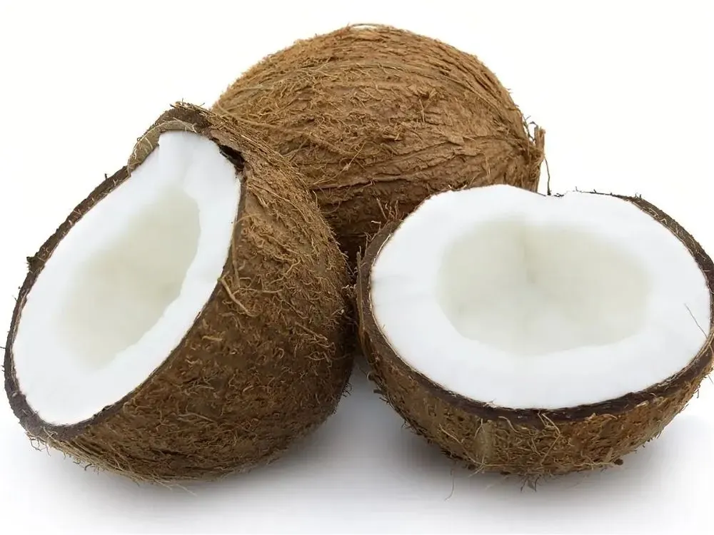 COCONUT EACH