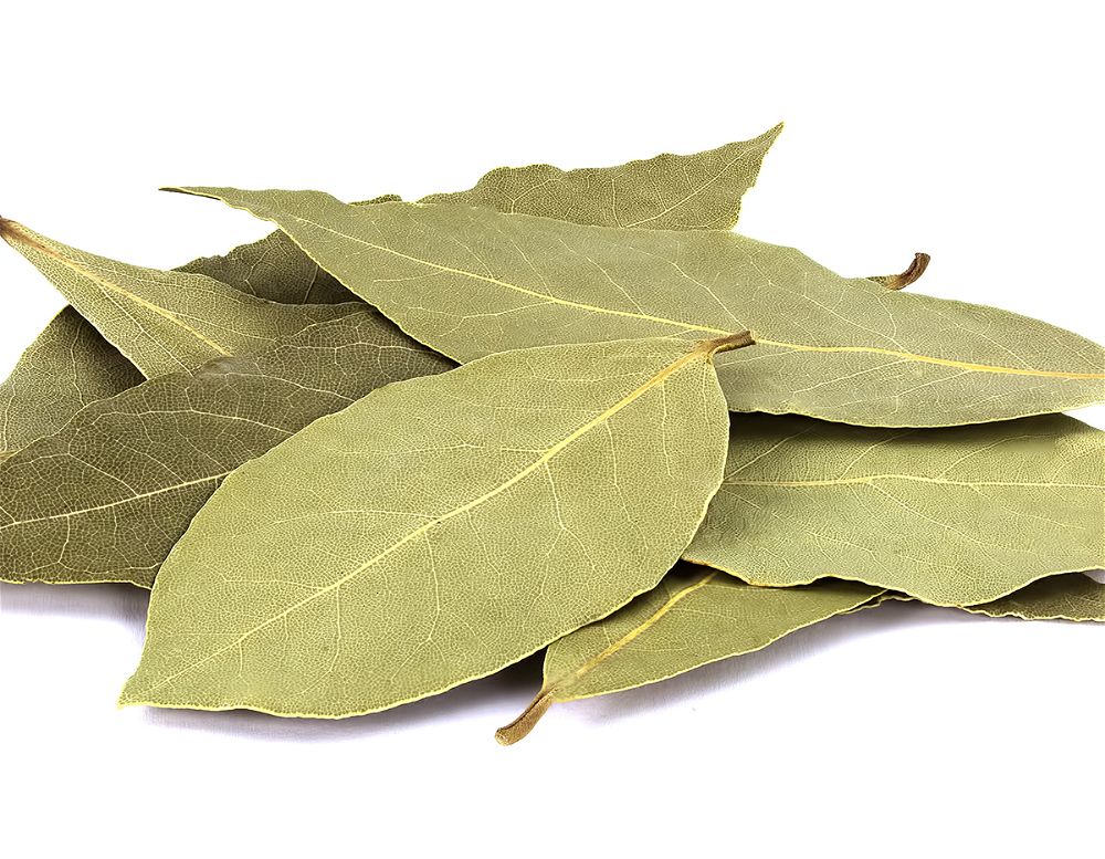 Zaika Bay Leaves 25g