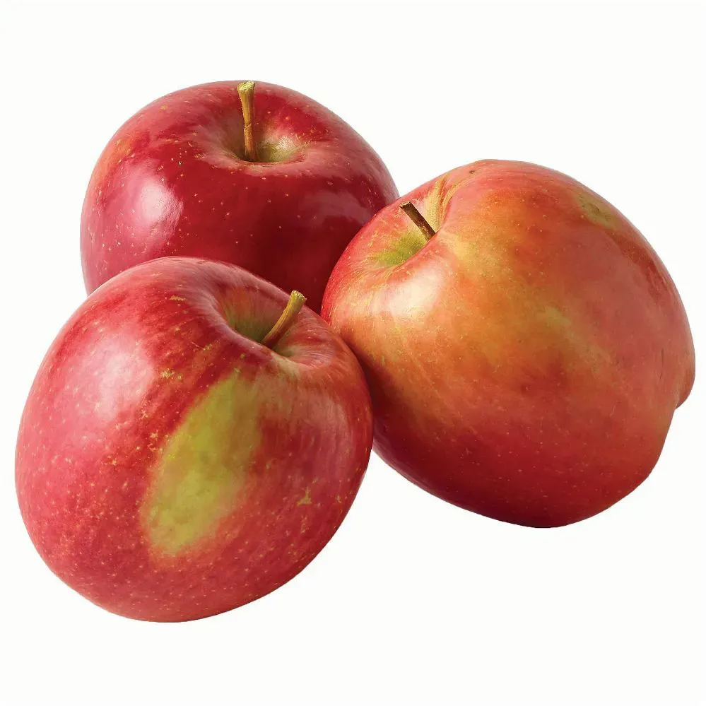 APPLE FUJI (PER LB)