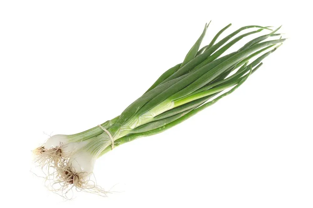 GREEN ONION (EACH)