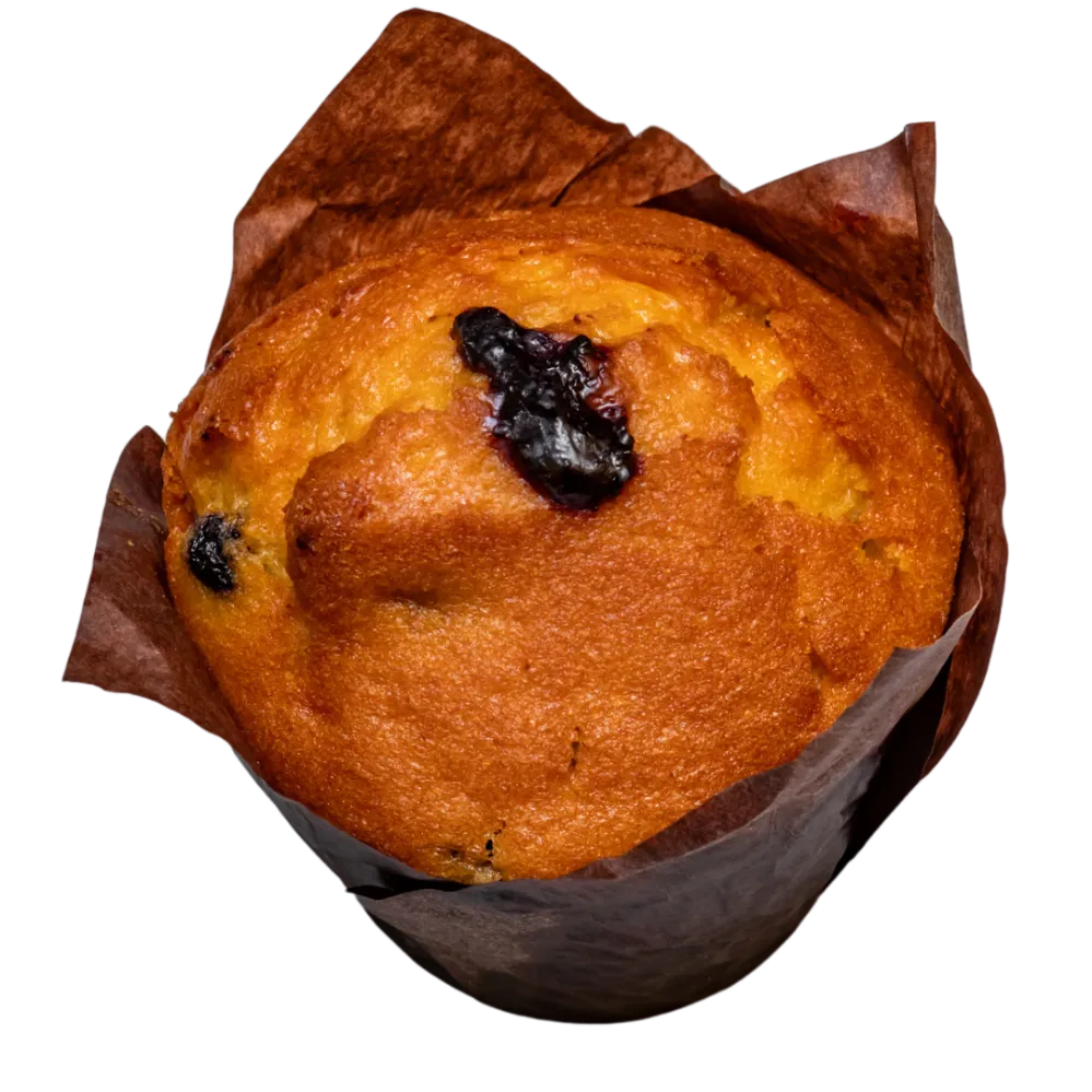 Blueberry Filled Muffin