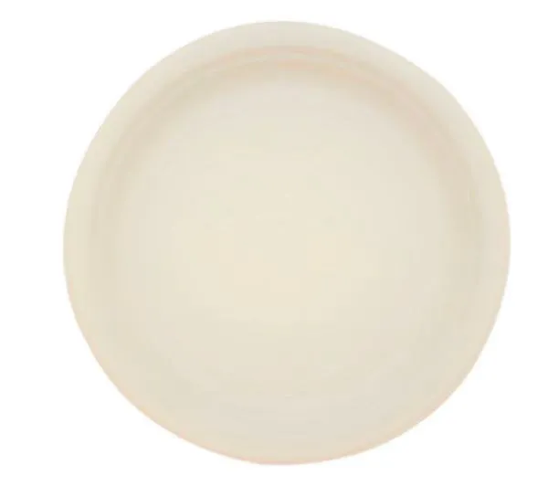 Plate Bagasse- 9' Round