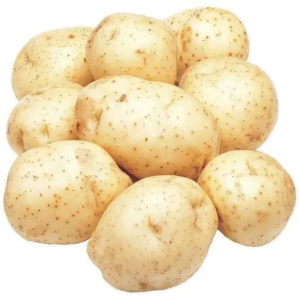 White Potato 10lbs Bag (each)