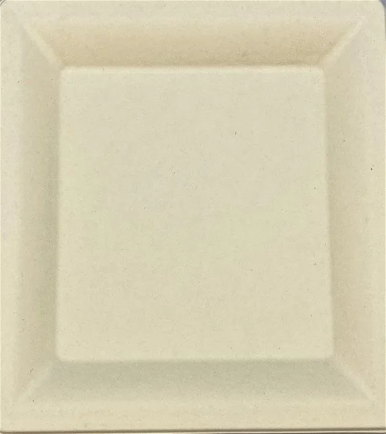 Bagasse Plate 10