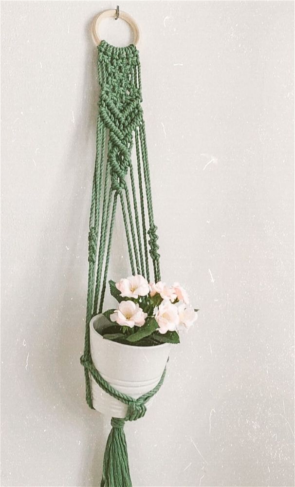 Plant Hanger