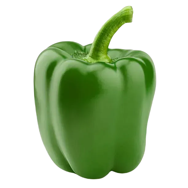 GREEN PEPPER (PER LB)