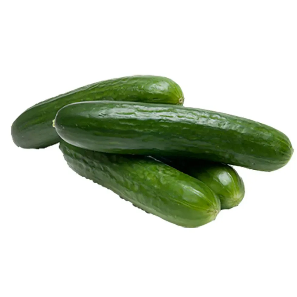 MINI CUCUMBER (PER LB)