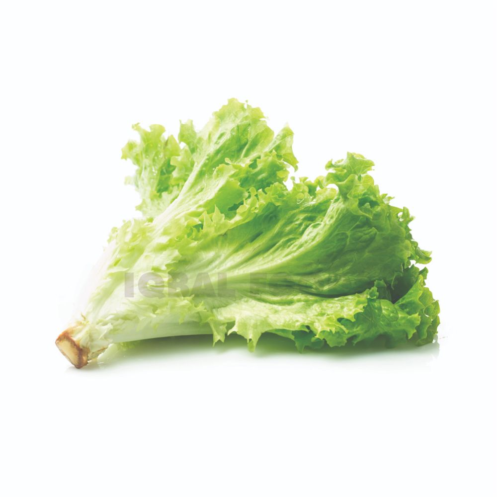 Lettuce Green Leaf - Each