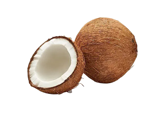 POOJA COCONUT PC