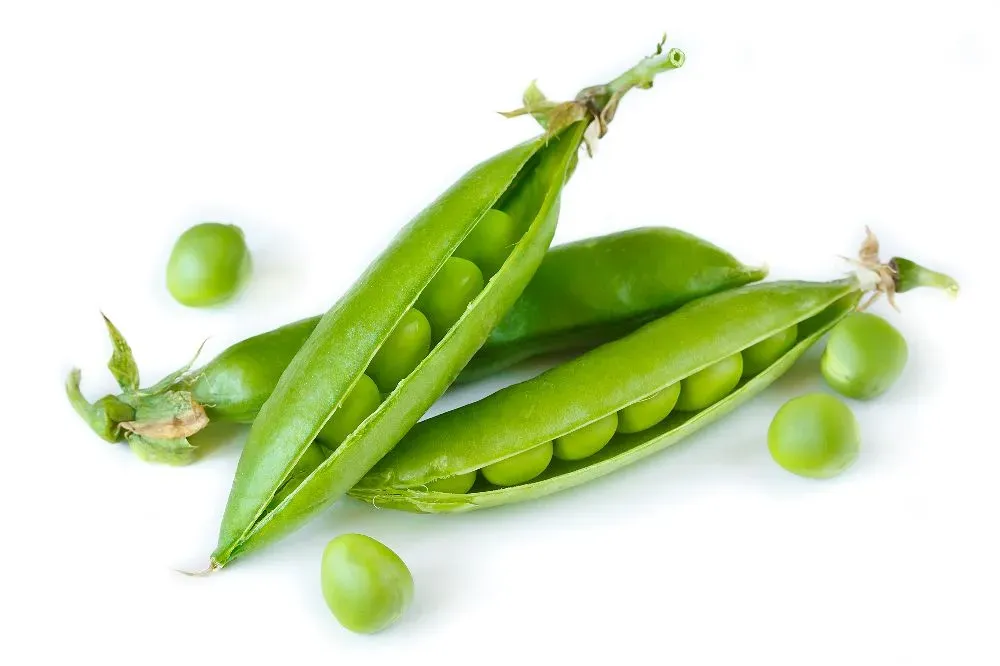 FRESH GREEN PEAS (PER LB)