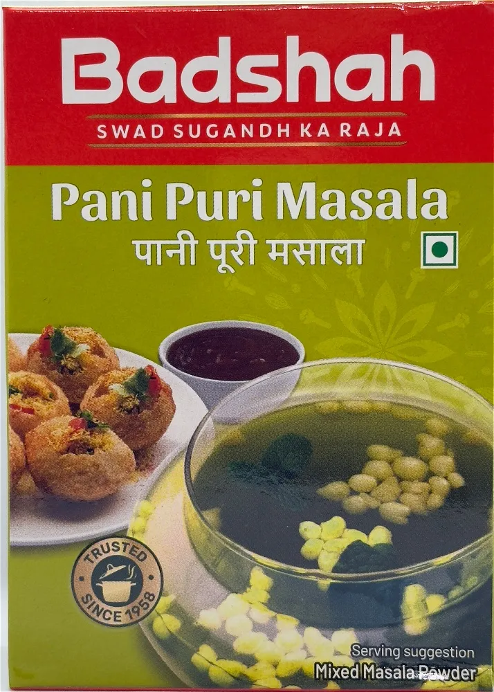 BADSHAH PANIPURI MASALA 100G