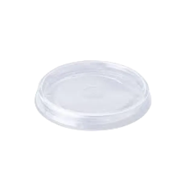 Soup Container Lid