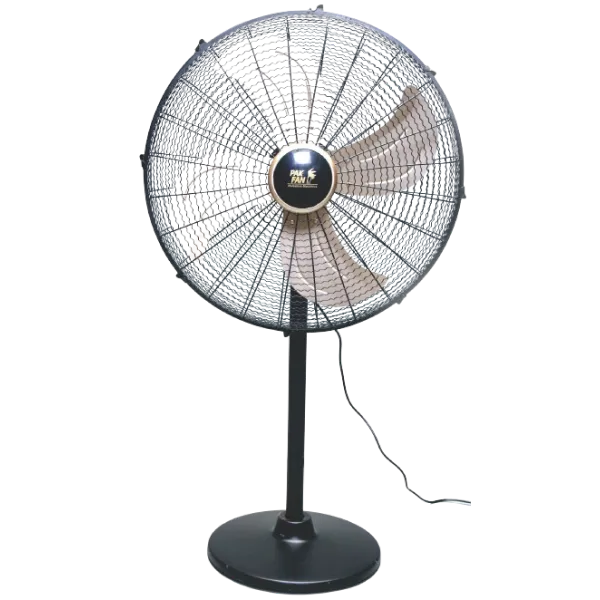 Pedestal Fan Standard