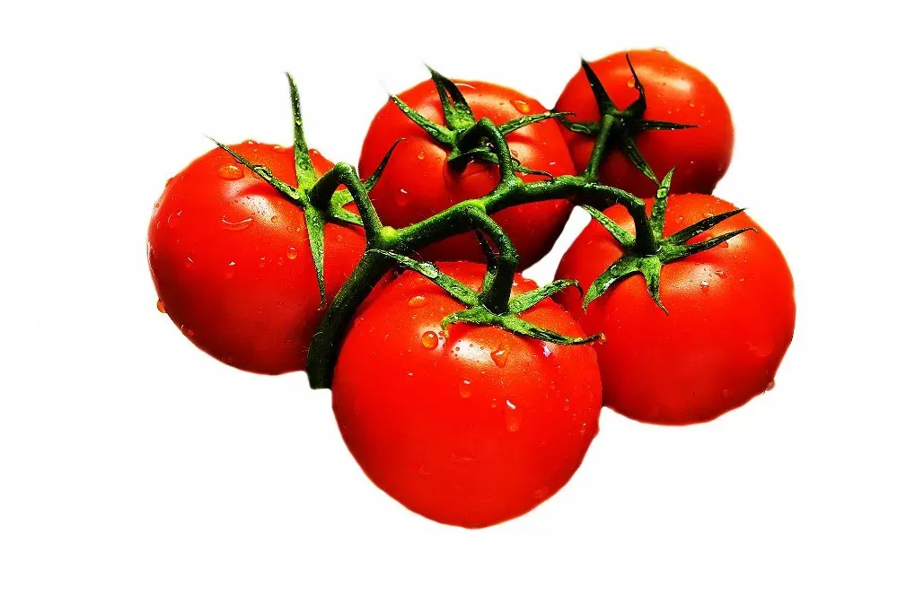 TOMATOES (PER LB)