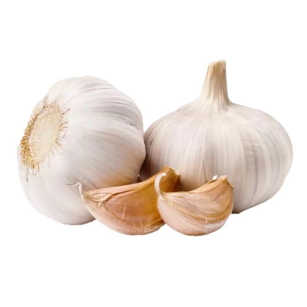 Garlic China