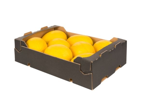 Mango Chaunsa 5kg Box