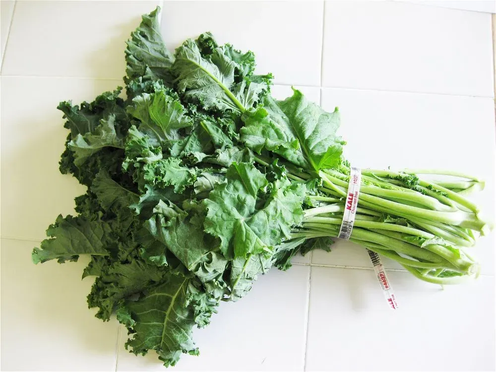 KALE FRESH BUNCH