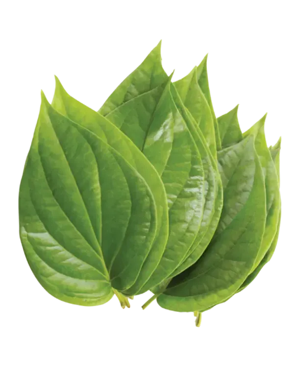 Pan Leaves (10 Pieces)