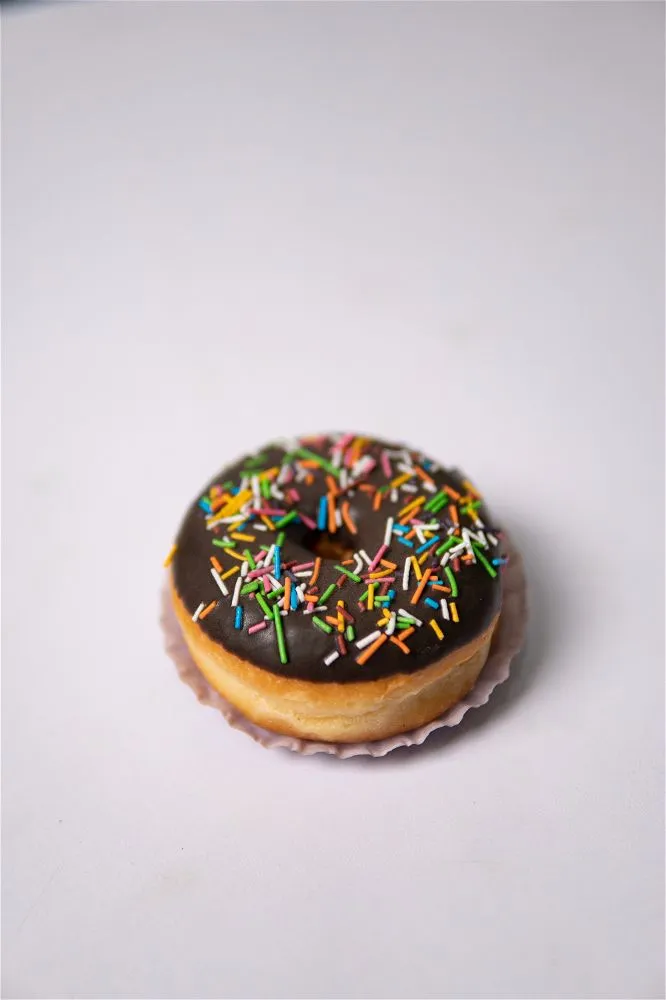 Sprinkles Donut