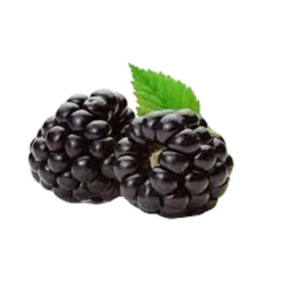 BLACKBERRY BOX (6OZ)