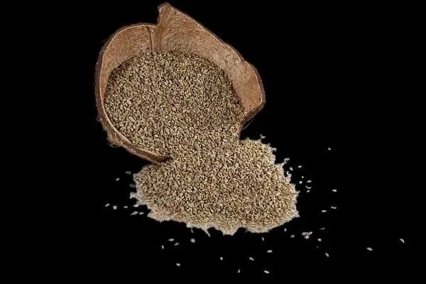 Noor Ajwain Seeds 200G