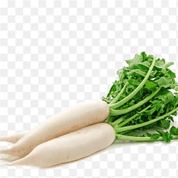 Daikon (Moli) (Each)