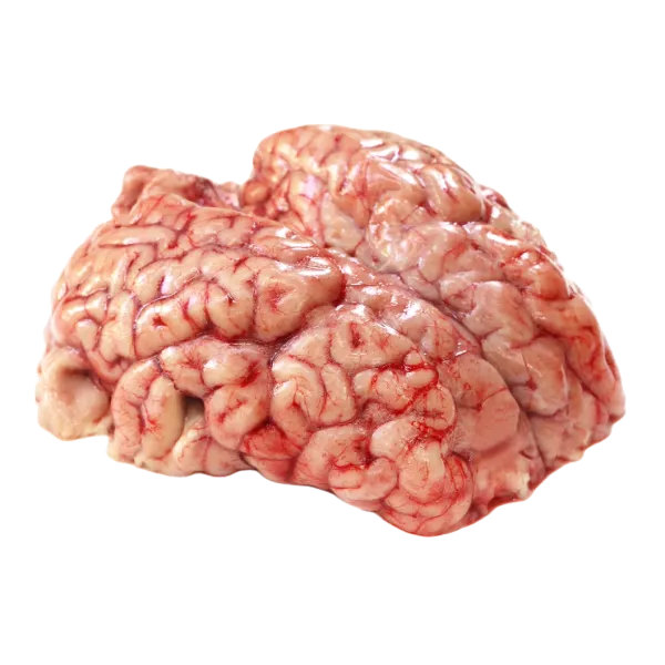 Beef Brain