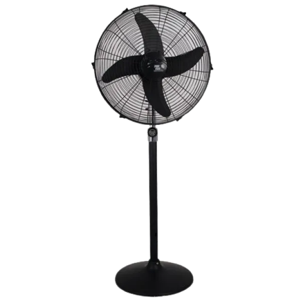 AC/DC Pedestal Fan