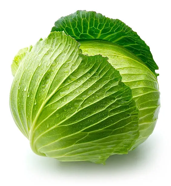 INDIAN CABBAGE (PER LB)