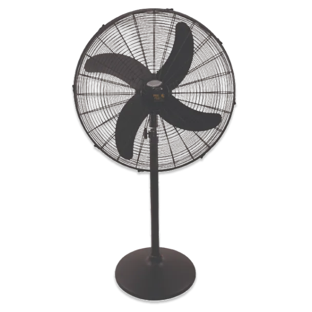 Pedestal Fan Standard