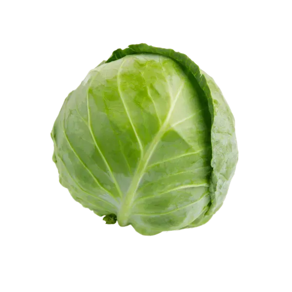 LETTUCE (EACH)