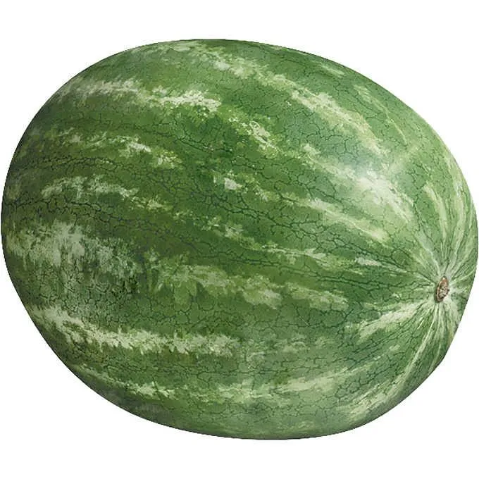 Watermelon SEEDLESS Each