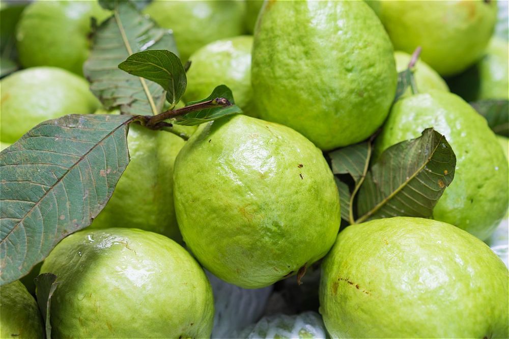 Guava Pakistani (per Lb)