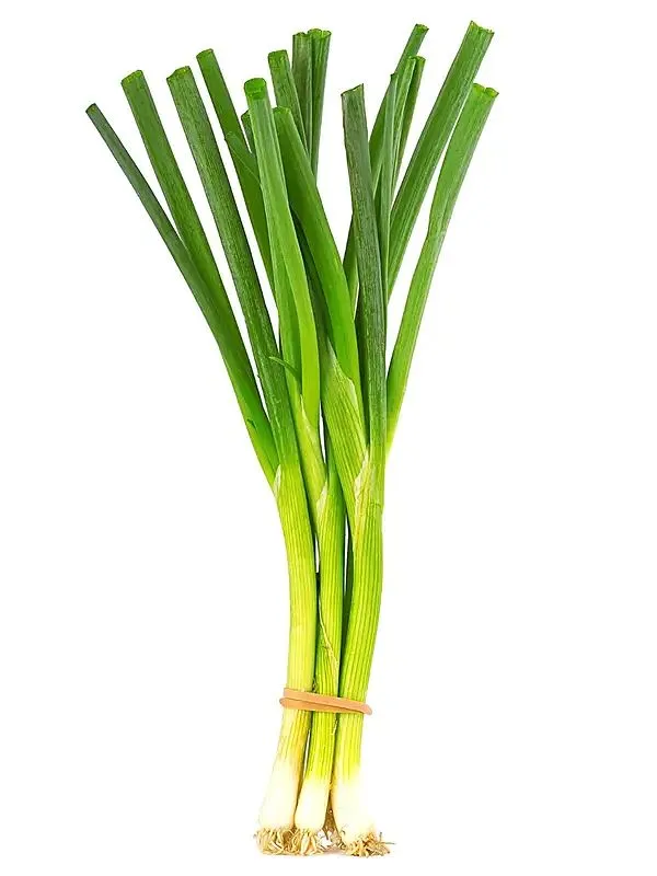 Green Onion (each)