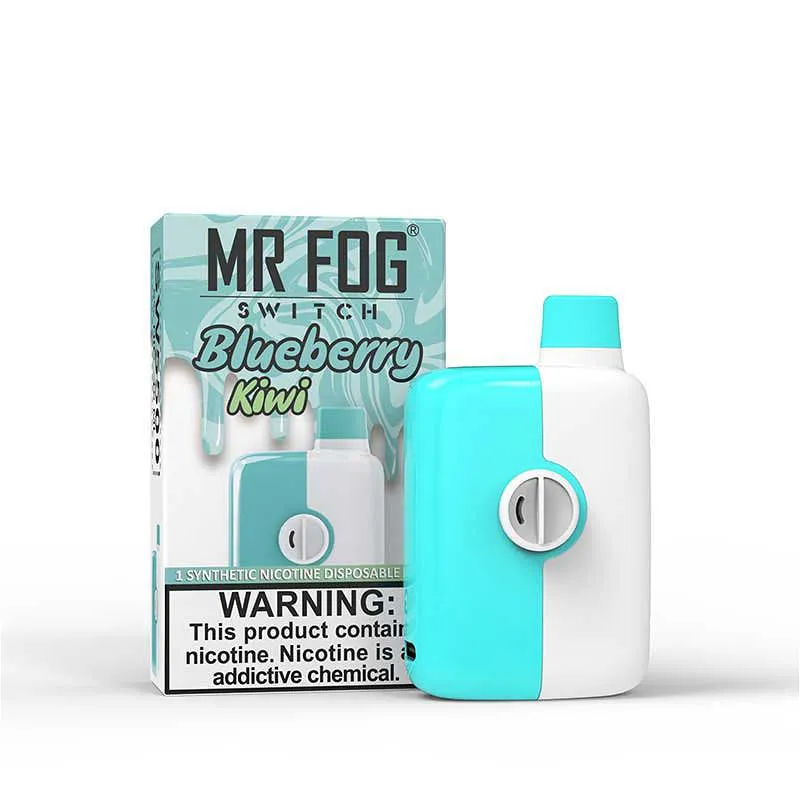 MR FOG 5500 BLUEERRY KIWI