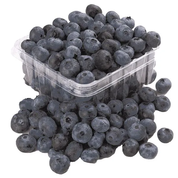 Blue Berries (Each)