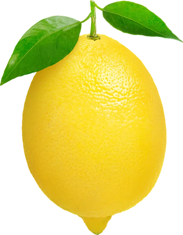 Lemon (Each)