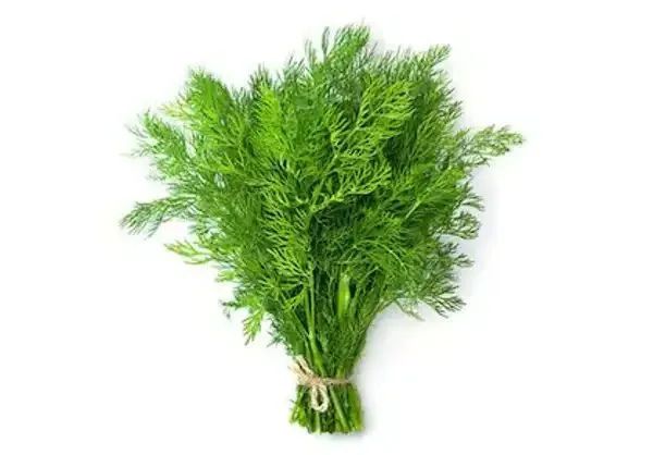 Soya (Dill) (EA)