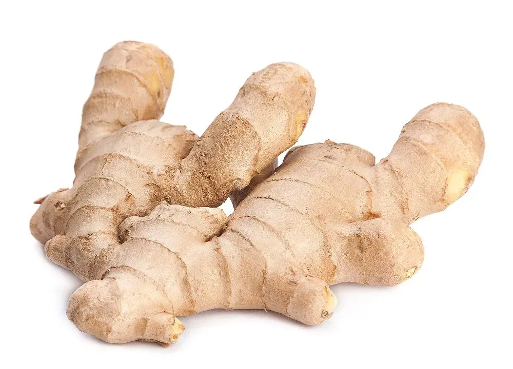 INDIAN STYLE GINGER (PER LB)